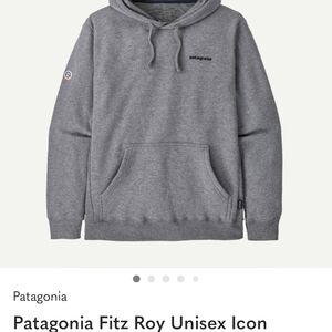 Patagonia Fitz Roy Icon Gray Hoodie